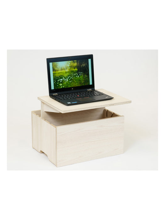 Hima Boksi säilytyslaatikko - Leon Ash